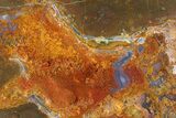 Colorful Polished Thunderegg Half - Nevada #337849-1